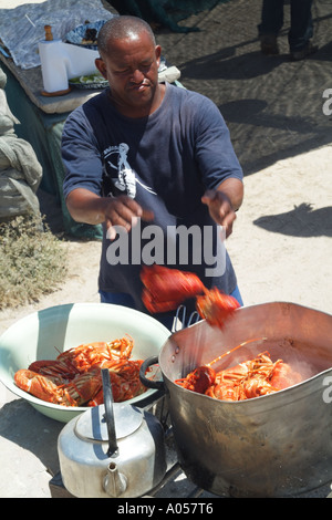 Langusten gekocht wird in einem großen Topf über einem offenen Feuer Südafrika RSA Chef werfen Krebse in Topf Stockfoto