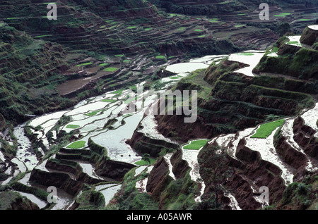 Kordilleren, Banaue Reis-Terrassen, Tag Stockfoto