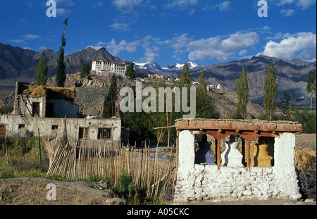 Felder unter Stakna Gompa Ladakh Indien Stockfoto