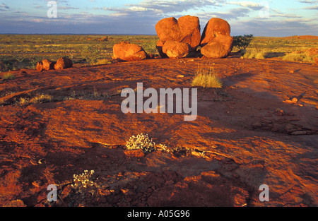 Dramatischen roten Felsvorsprung in der flachen westlichen Wüstenebenen Ansicht in die Unendlichkeit in der Kimberlies von Western Australia Stockfoto