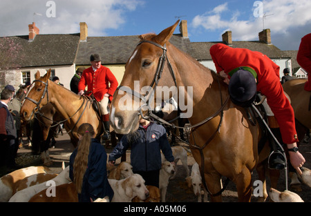 Jäger in roten Mänteln mit Hunde und Pferde sammeln für die Fuchsjagd in Großbritannien treffen Stockfoto