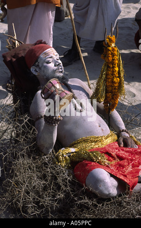 Sadhu meditieren auf einem Bett von Thorn. Khumb Mela Festival 2001-Allahabad, Uttar Pradesh, Indien. Stockfoto