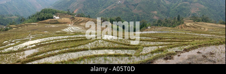 Vietnam Nordwesten Sapa Hill Stammesgebiet Ban Ho Dorf Landwirtschaft terrassierten Reisfelder überflutet vor dem Pflügen Panorama Stockfoto