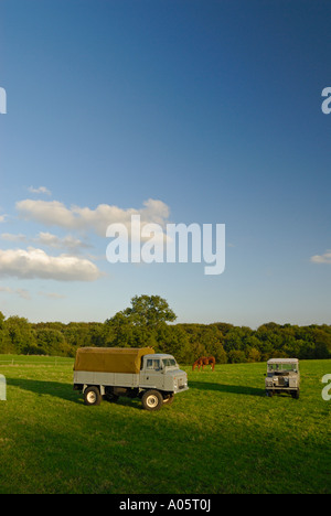 Historischen 1950/60er Jahre Landrover der Dunsfold Kollektion auf Feld mit Pferden in Surrey, Südengland. Stockfoto