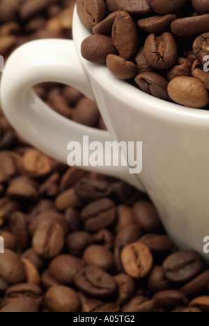 Tasse mit Kaffeebohnen gefüllt Stockfoto