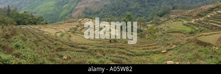 Nordwest Vietnam Sapa Hill Stammesgebiet Su Pan Village Landwirtschaft terrassierten Reisfelder Panorama Stockfoto