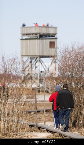 Vogelbeobachter zu Fuß zum Aussichtsturm auf liminganlahti Naturschutzgebiet, Finnland Stockfoto