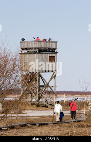 Vogelbeobachter zu Fuß zu einem Aussichtspunkt am Liminganlahti Bay Nature Reserve, Finnland Stockfoto