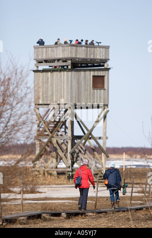 Vogelbeobachter zu Fuß zum Aussichtsturm für die Vogelbeobachtung, liminganlahti Finnland Stockfoto