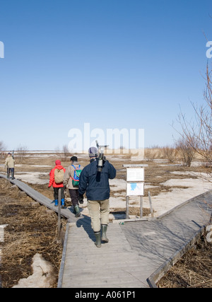 Vogelbeobachter zu Fuß zur Beobachtung Turm am Liminganlahti Nature Reserve, Finnland Stockfoto