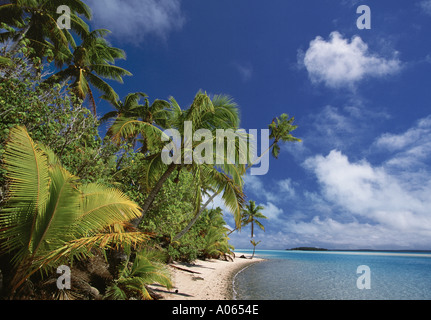 Palmen und Strand One Foot Island in der Nähe von Aitutaki Cookinseln Südsee Stockfoto