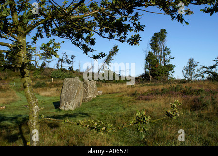 Shantemon oder fünf Finger standing stones Stockfoto