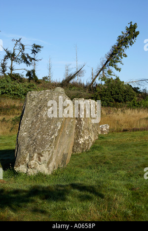 Shantemon oder fünf Finger standing stones Stockfoto