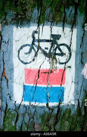 Spezielles Schild für den Fahrradweg, das auf die Baumrinde in einem Wald gemalt ist, mit einem schwarzen Fahrradsymbol und roten und blauen Streifen auf weißem Hintergrund. Stockfoto