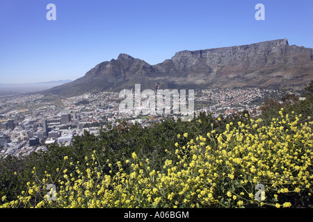 Kapstadt und Tafelberg, Blick vom Signal Hill Stockfoto