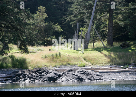 Annäherung an Totem Pole am UNESCO-Welterbe SGang Gwaay, Kanada [2] Stockfoto