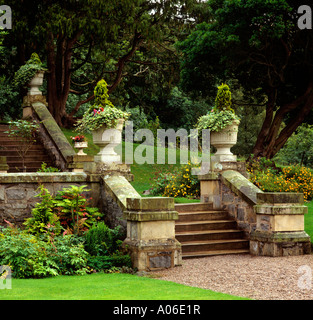 Dekorative Laub Einpflanzen und Urne im Lake District Garten Gartenarbeit Stockfoto