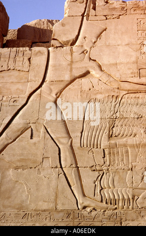 Ägypten Luxor Karnak Tempel Bas-Relief Stockfoto