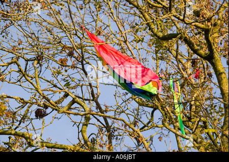 ein Drachen in einem Baum stecken Stockfoto