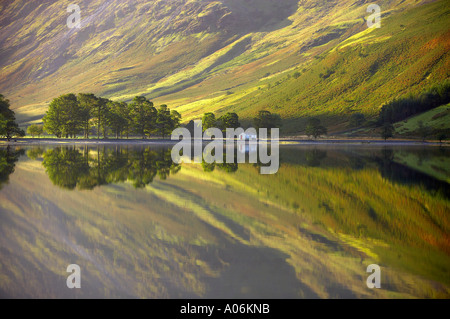 Reflexionen über die Ufer Buttermere im Morgengrauen Cumbria Lakes Distrikt Cumbria England UK Stockfoto