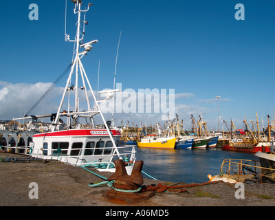 KILMORE QUAY MARINA mit Ankern kommerziellen Fischerboote Kilmore Quay 'Co Wexford' Eire Stockfoto