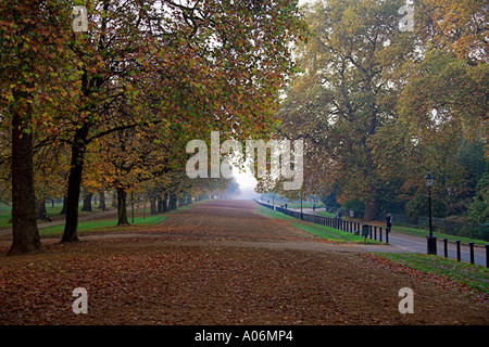Rotten Row Hyde Park London Stockfoto