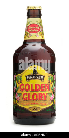 Absolut herrliche Badger Golden Glory Premium Ale floral Pfirsichblüte Melone Aroma Hall Woodhouse Blandford Straße Mary Dorset Stockfoto