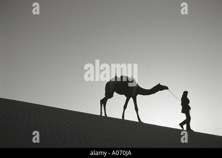 Kamel und Mann in Sam Thar Wüste bei Jaisalmer Rajasthan Indien Stockfoto