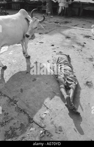 Mann, der betet und Kuh stehend im Puri Orissa in Indien Stockfoto