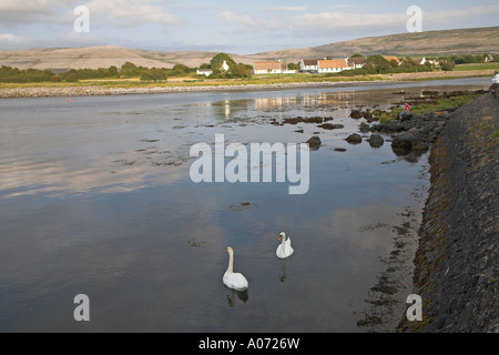 Ballyvaughan Hafen, County Clare, Irland Stockfoto