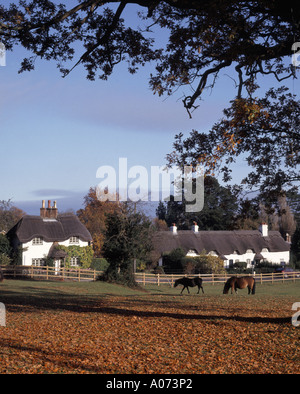 Herbstliche Szene & Farben New Forest National Park Landschaft mit strohgedeckten Cottages & New Forest Ponys grasen Swan Green in der Nähe von Lyndhurst Hampshire UK Stockfoto