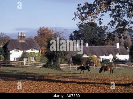 Swan Green in der Nähe von Lyndhurst Hampshire UK in New Forest National Park mit Ponys frei Roaming über das Feld mit strohgedeckten Hütten über Stockfoto