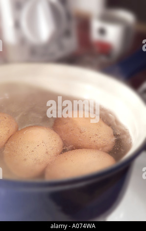 Kochen von Eiern in Topf Stockfoto