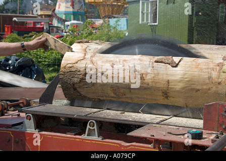 Kreisförmige Sägeblatt, Sägen durch eine lange Baum-Protokoll mit einem festen großen Durchmesser mechanisch angetriebenen macht auf einer Bank Stockfoto