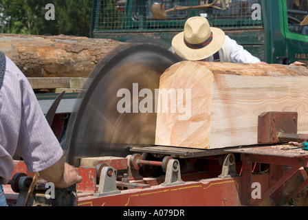 Mann demonstriert das Sägen durch einen langen Baumstamm mit einem fest installierten, mechanisch angetriebenen Kreissägeblatt mit großem Durchmesser auf einer Werkbank Cornwall UK Stockfoto