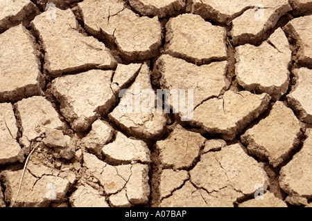 Gebrannter Erde an die Wäsche, Lincolnshire, UK Stockfoto