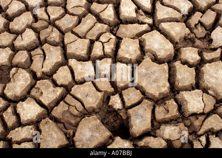 Gebrannter Erde an die Wäsche, Lincolnshire, UK Stockfoto