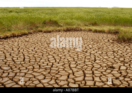 Gebackene, rissige Erde an die Wäsche, Lincolnshire, UK Stockfoto