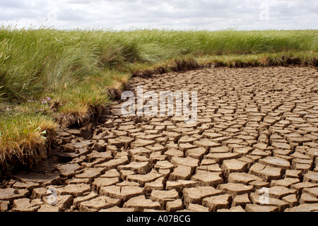 Gebackene, rissige Erde an die Wäsche, Lincolnshire, UK Stockfoto