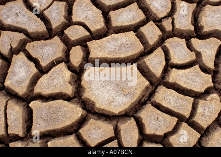 Gebackene, rissige Erde an die Wäsche, Lincolnshire, UK Stockfoto