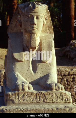 Unter der Leitung von menschlichen Sphinx in Luxor-Tempel, Luxor, Ägypten. Stockfoto