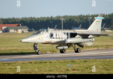 RAF SEPECAT anglo-französischen Jaguar GR3A Jet Schlachtflugzeuge.  XAV 4081-387 Stockfoto