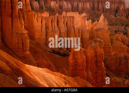 Landschaft, Landschaft, Blick von Navajo Trail erodiert, Navajo Trail, dem Bryce Canyon, dem Bryce Canyon National Park, Utah, USA, Nordamerika Stockfoto