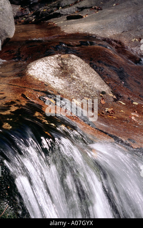 LAWINE FALLS FRÄNKISCHEN NATIONALPARK NEW HAMPSHIRE Stockfoto