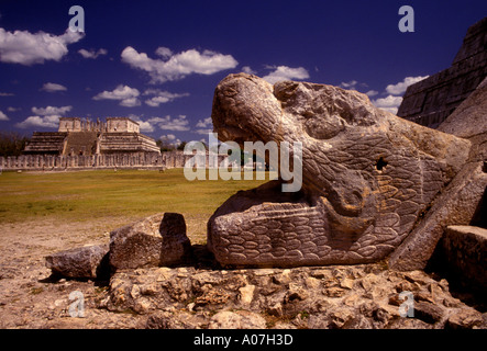 Tempel des Kukulcan, El Castillo, archäologische Stätte Chichen Itza, Chichen Itza, gefiederte Schlange Kopf, Bundesstaates Yucatán, Mexiko Stockfoto