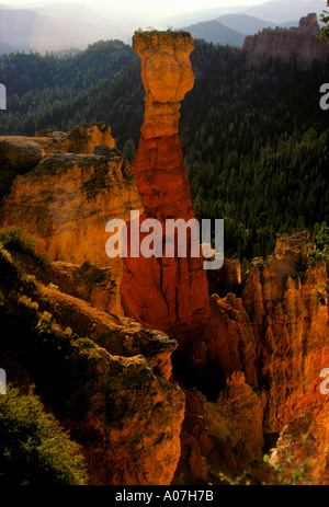 Thor's Hammer, erodierten Landschaft, Blick vom Agua Canyon, agua Canyon, dem Bryce Canyon, dem Bryce Canyon National Park, Utah, USA, Nordamerika Stockfoto