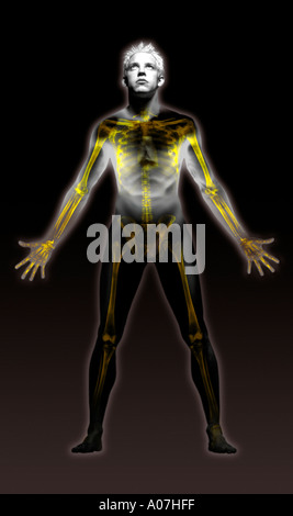 Sport, Square, Studioaufnahme, Innenaufnahme, Röntgenbild, Nahaufnahme, Digital generiert, Fußball, munter, lustig, menschliches Skelett, Farbe, Stockfoto