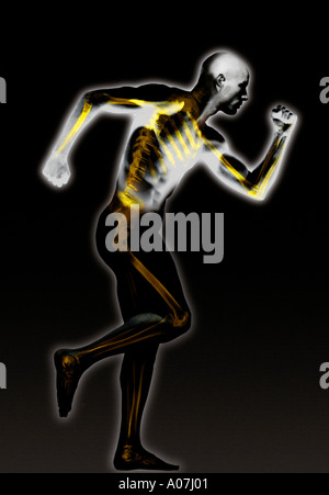 Sport, Square, Studioaufnahme, Innenaufnahme, Röntgenbild, Nahaufnahme, Digital generiert, Fußball, munter, lustig, menschliches Skelett, Farbe, Stockfoto