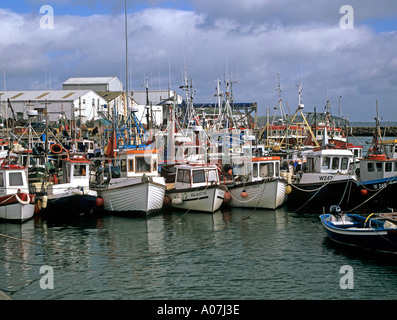 DUNMORE EAST Co Waterford Republik von Irland Europa Oktober die Fischereiflotte in diesem Dorf vor Anker liegt Stockfoto