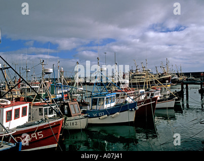 DUNMORE EAST Co Waterford Republik von Irland Europa Oktober die Fischereiflotte im Hafen vor Anker liegt Stockfoto